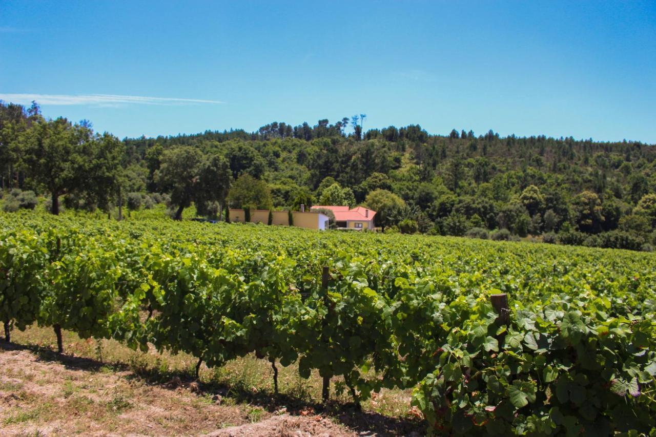 Quinta Das Regueiras Viseu Extérieur photo