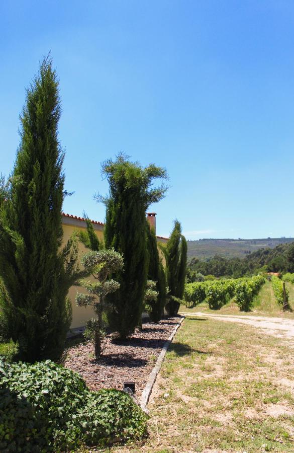 Quinta Das Regueiras Viseu Extérieur photo